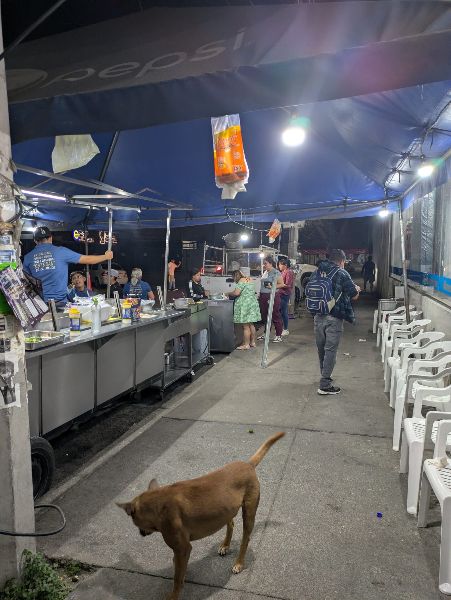 メキシコ・レオン市南部Centro Max前の消防署横タコス2