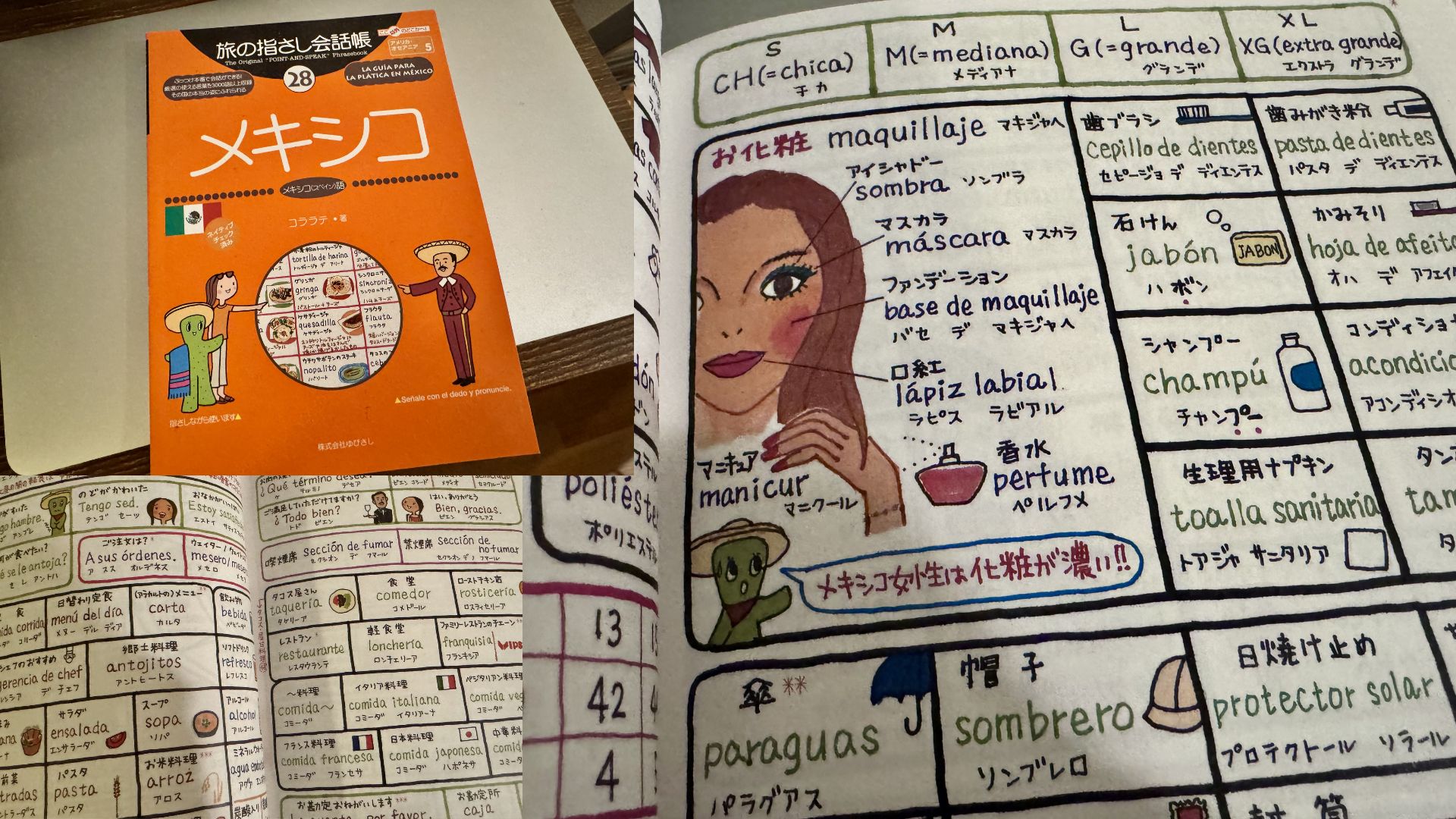 スペイン語 絵が沢山の本