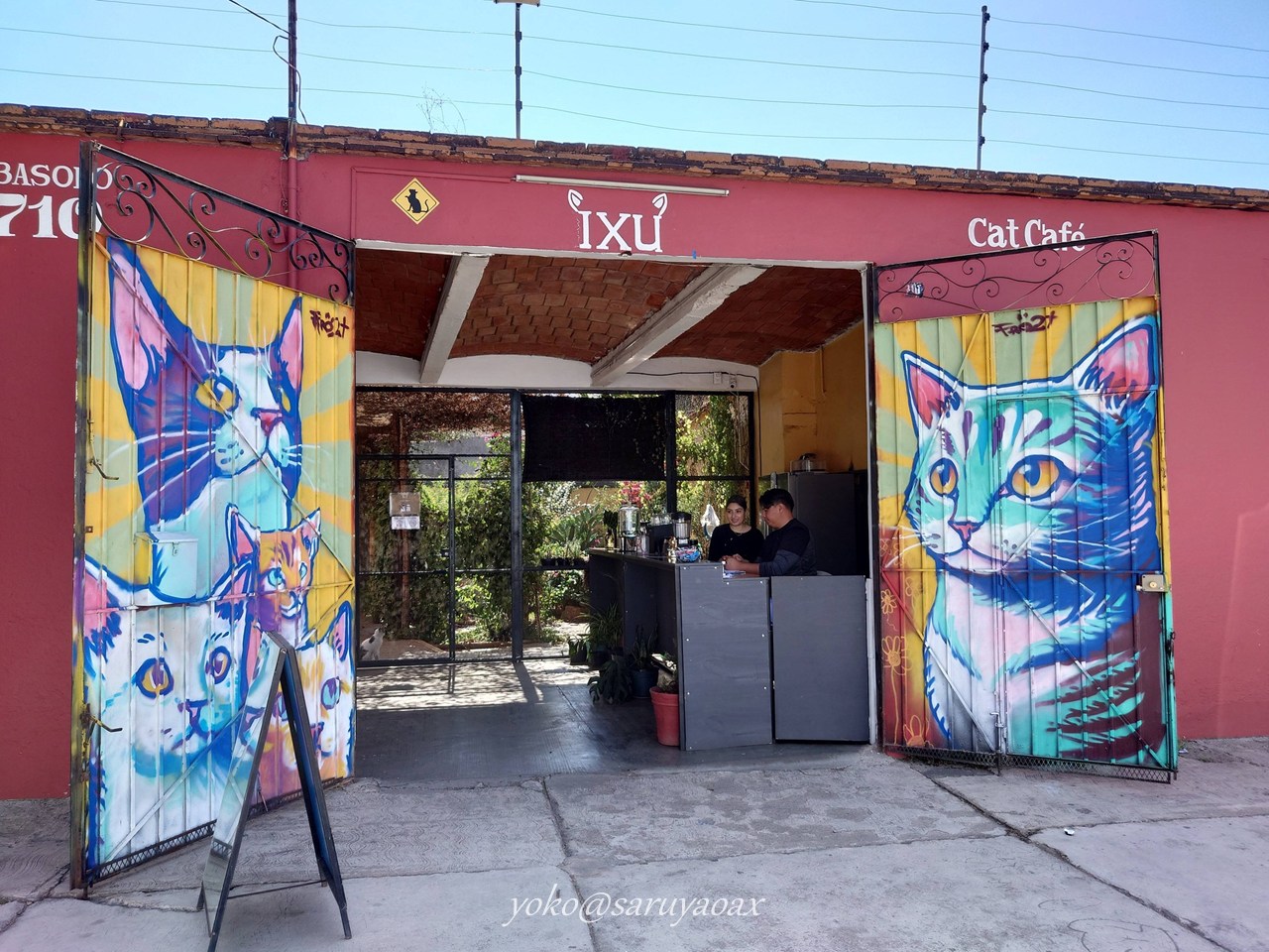オアハカのixu catcafé。猫カフェ