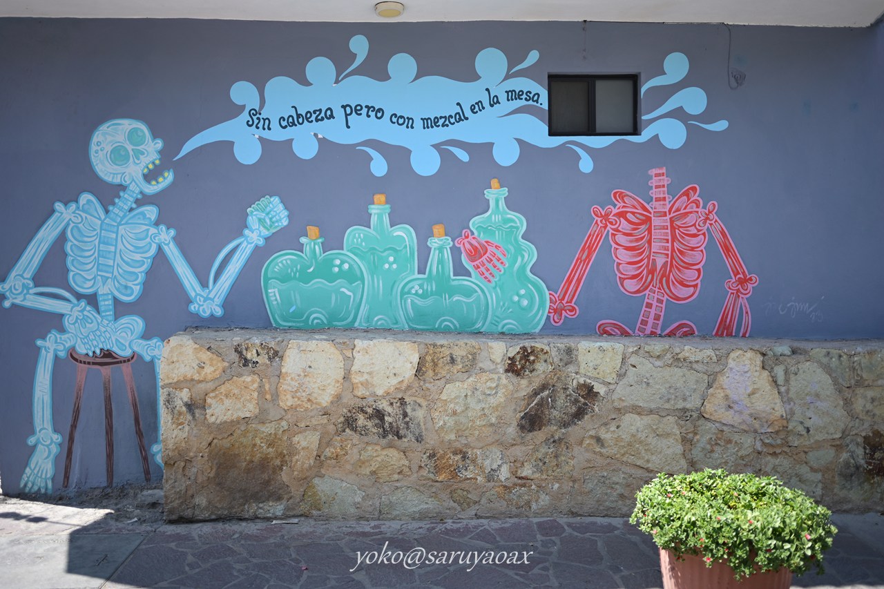 オアハカのソチミルコ地区